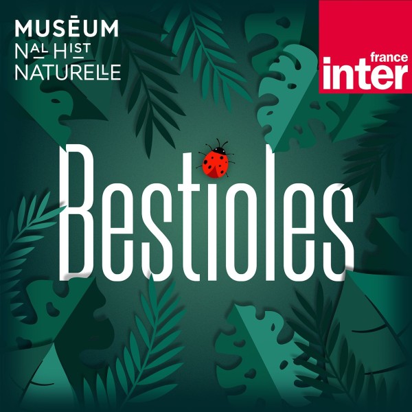 Bestioles : le podcast pour enfants sur le monde animal !