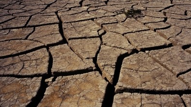 Les sentiments à l’épreuve de l’écologie