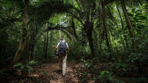 Saül, un village au coeur de la forêt amazonienne