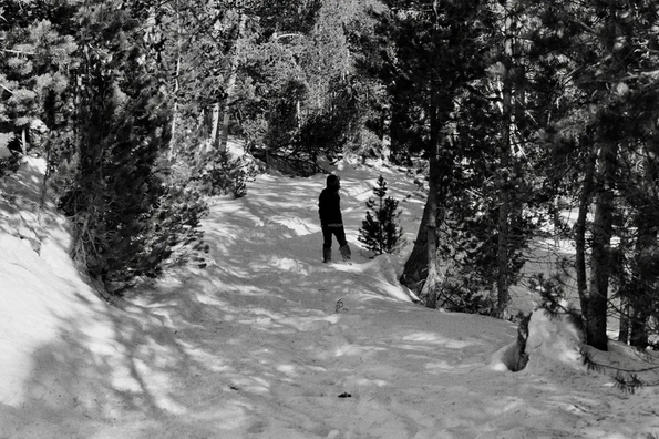 Construire un feu - d’après Jack London